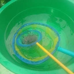 แม่สีแพ