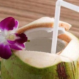 มะพร้าวลูกใหญ่