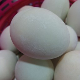 ไข่เค็ม