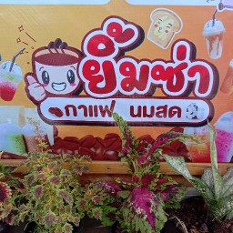 ยิ้มซ่า อาหารตามสั้ง