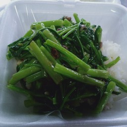 ข้าวราดผัดผักบุ้ง