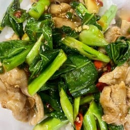 ผัดคะน้าหมูชิ้น