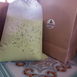 ชาเขียวถุง