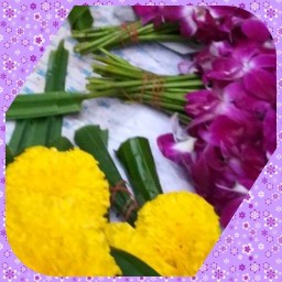 แมวท่าอิฐ ร้านพวงมาลัยดอกไม้สวย บางรักน้อย