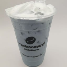 ชานมอัญชัน