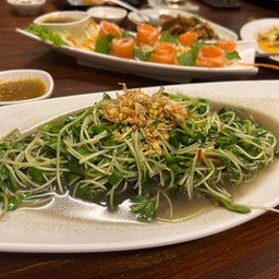 ตะวันน้ำมันหอย