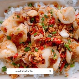 ปลาหมึกคั่วพริกเกลือ ราดข้าว