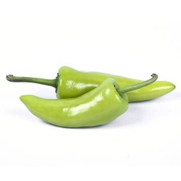 พริกหยวก