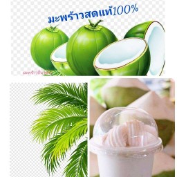 กะเพราวัดใจ(เจ้าแรก)/มะพร้าวปั่นวัดใจ เจ้าแรก ขอนแก่น
