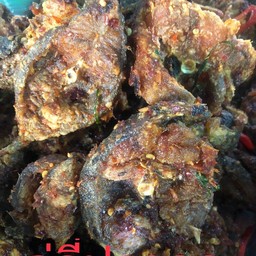 ฉู่ฉี่ปลาดุก