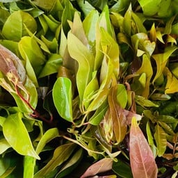 ผักสดถุงเล็ก