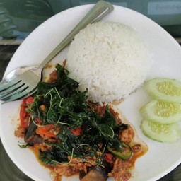 ข้าวราดกะเพราไข่เยี่ยวม้า