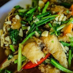 เนื้อปลาผัดคื่นช่าย