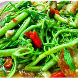 ผักบุ้ง