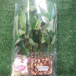 บะหมี่เกี๊ยว ข้าวหมูแดง เย็นตาโฟ เตี๋ยวต้มยำโบราณ