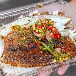 ข้าวปลาแกะ
