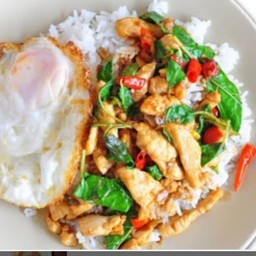 กระเพราไก่ราดข้าว