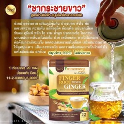 ชากระชายขาว+ขิง+หญ้าหวาน