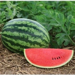 แตงโมปั่น