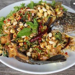 ปลาช่อนลุยสวน