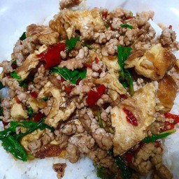 ไข่เจียวคลุกกระเพราหมูสับราดข้าว
