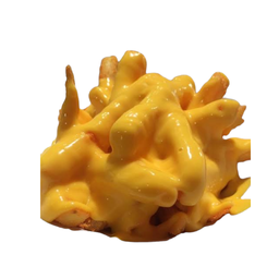 French Fries with cheddar cheese