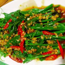 耗油瓜苗  ผัดฟักแม้วน้ำมันหอย