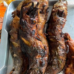 ปลาดุกย่าง