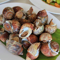 หอยหวานย่างถ่าน ครึ่งกิโลกรัม