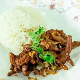 แซ่บอาหารตามสั่ง&ยำปลาร้า บ้านกอกกังวาล