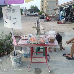 ปลาหมึกTTK