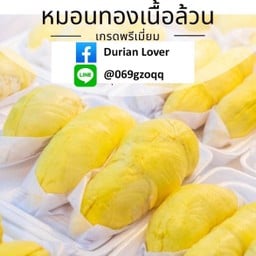 ทุเรียนหมอนทองแกะเนื้อล้วนเกรด ฟรเมี่ยม