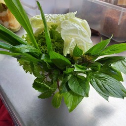 ผักเมี่ยง