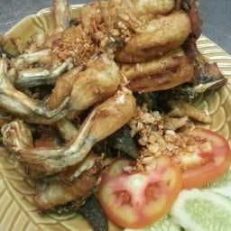 กบภูเขาทอดกระเทียม