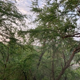 วิวยามเช้า สบายตาสุดๆ