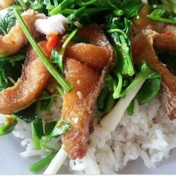 ปลาช่อนผัดขึ้นฉ่ายราดข้าว
