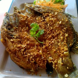 ผัดไทย ครัวโอชิ&ตามสั่ง