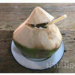 มะพร้าวน้ำหอม