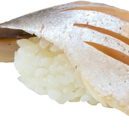 N5 ซาบะดอง