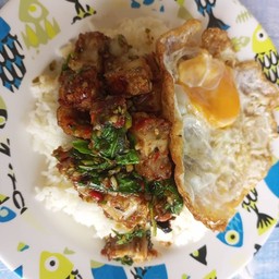 ข้าวกะเพราหมูกรอบไข่ดาว