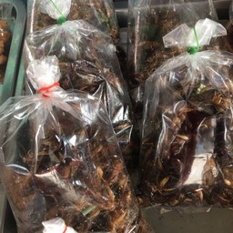 จริ้งหรีดทอด