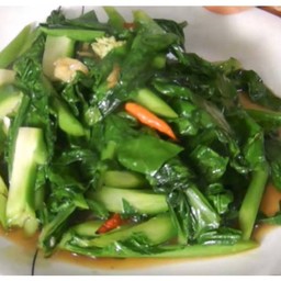 คะน้าน้ำมันหอย