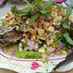 ช่อนลุยสวน