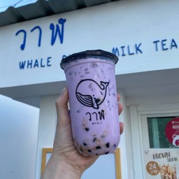 นมเผือก