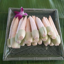 มหาชัยหม่าล่าพ่นไฟ