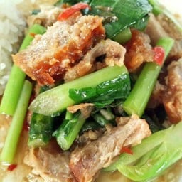 ข้าวราดผัดคะน้าหมูกรอบ