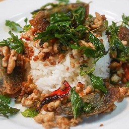ผัดกระเพราไขเยี่ยวม้าราดข้าว