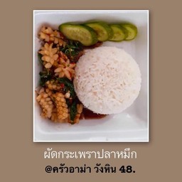 ข้าวราดกะเพรา กุ้ง,ปลาหมึก,รวมมิตร