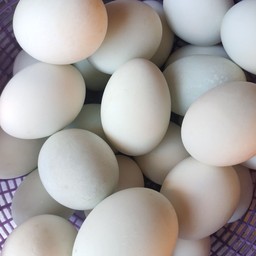 ไข่เค็ม  ฟองละ