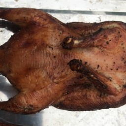 ศ.เป็ดย่าง